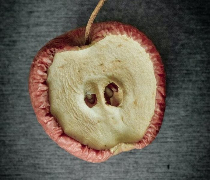 margaret-jaszowska-z6ferkSiSn8-unsplash (1)